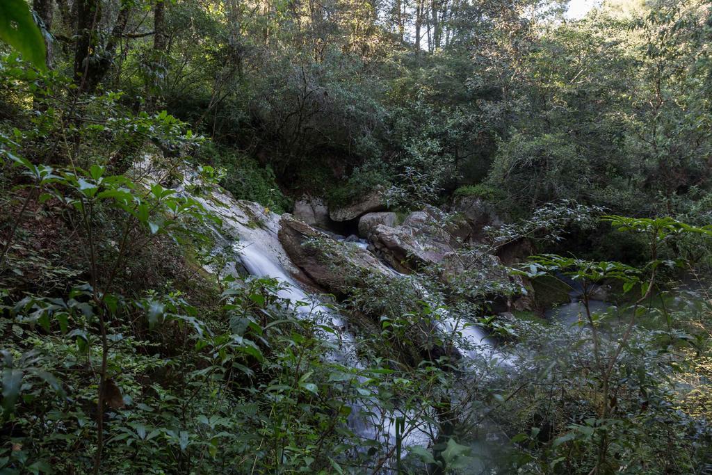 Cabanas Rancho El Mayab Zacatlan Bagian luar foto