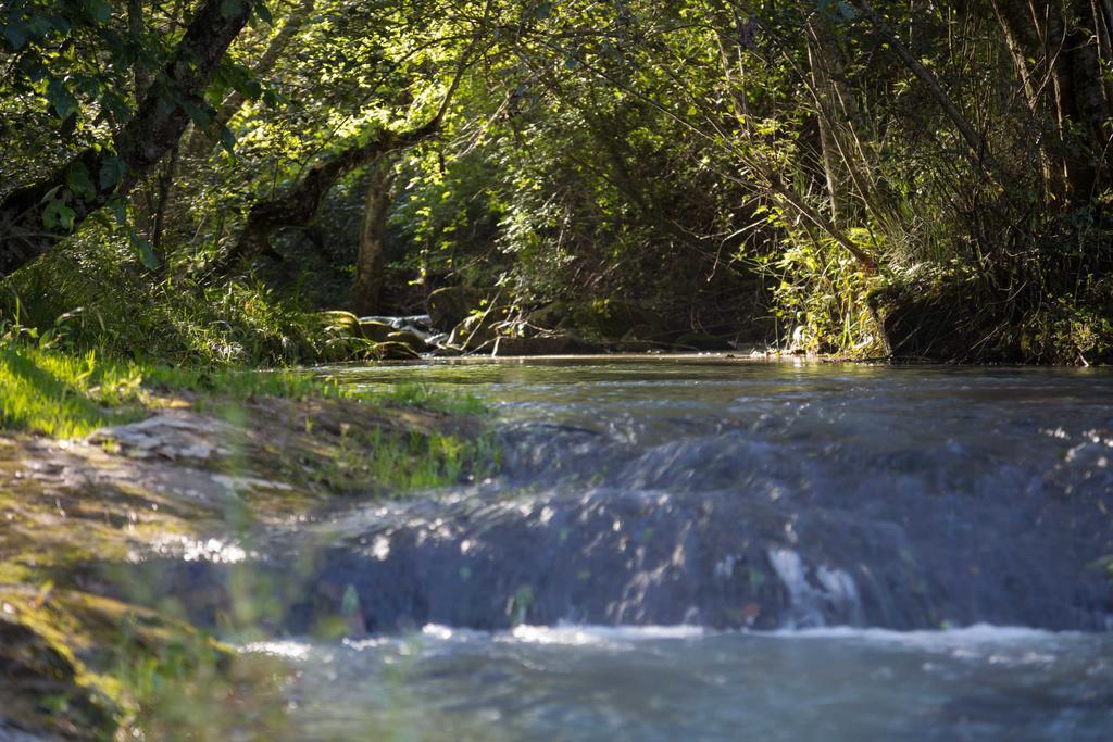 Cabanas Rancho El Mayab Zacatlan Bagian luar foto